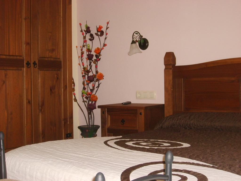 Apartamentos Sanabria Galende Rum bild